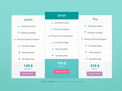 Pricing pricing prototype ui wireframe