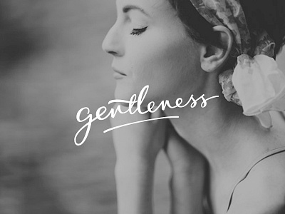 Gentleness bezier calligraphy handlettering illustrator lettering photography vector