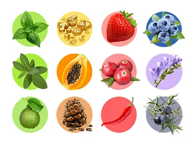 SPLAT icons bergamot fruits gold icons looi mint papaya splat strawberry