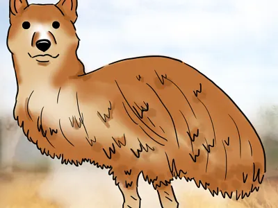 Shibaemu drawing illustration shiba inu
