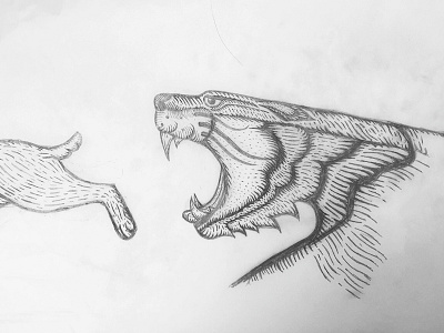 Tiger Process Sketch cat illustration paper pencil raaaarrrrrrrrrrr sketch tiger wip