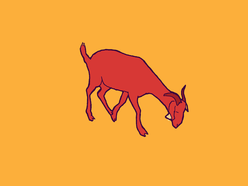 Red Goat animals gif goat