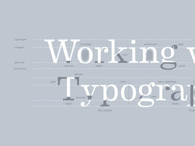 Type Hype (WIP) anatomy of type letter forms letters typography vector