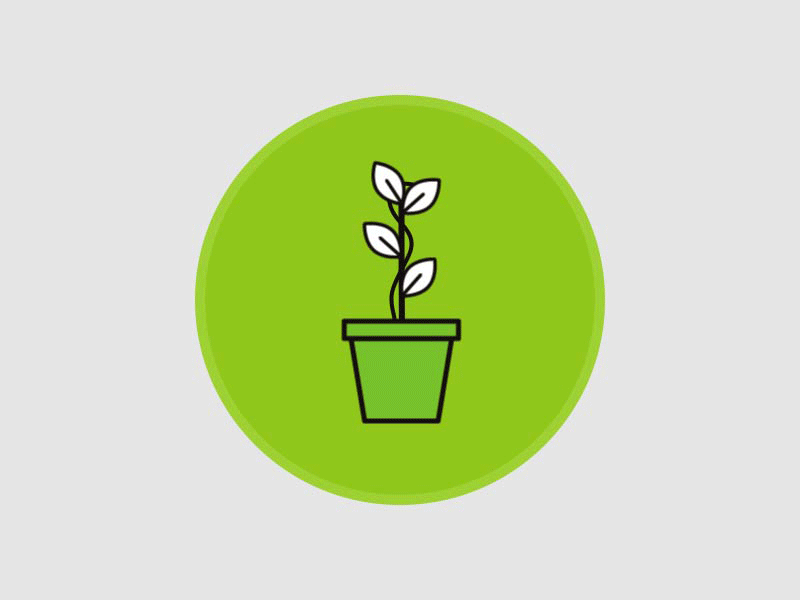 Flower 2d animation chalkiopoulos design flower greece green ilias motion pot