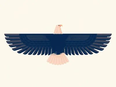 Eagle bird eagle usa