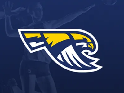Humber Hawk Rebrand bird college hawk sports