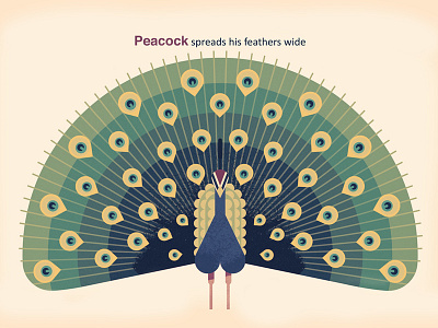 Peacock bird pattern peacock