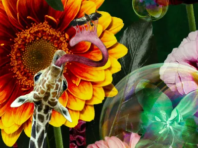 Detail of 3x5 metres wallpaper. graphic design montage wallpaper