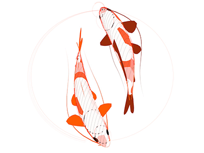 Koi illustration