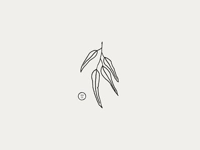 Since 2011 branding eucalyptus illustration leaf leaves logo nature organic