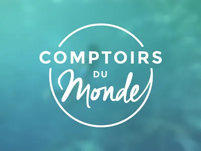 Logo brand design logo logotype