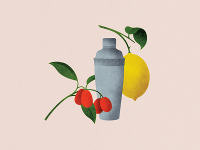 134 citrus drink kumquats lemon shaker