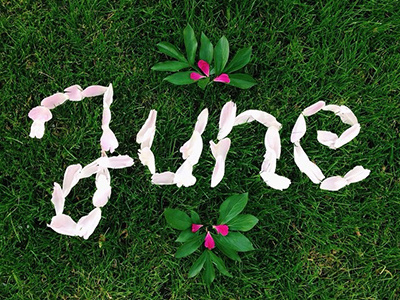 Craft Calendar / June calendar craft flower grass handmade june month pedals pretty type