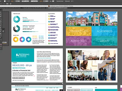 Mood/Design Boards design lionpanda redesign website
