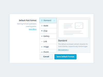 Post Format form post format settings