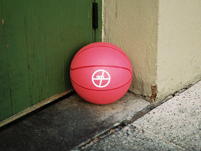 Dribbble Ball VanWebbs ball basket ball dribbble invite logo pink series thank you