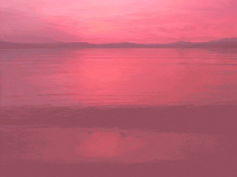 Photography Logo Animation animation feather gif hand lettering illustration line logo mark photographer photography script