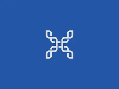 X Letterform branding identity initial letterform lettermark logo tech x