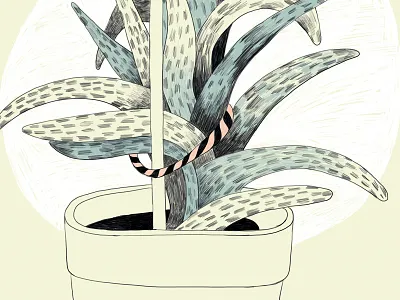 ALOE illustration
