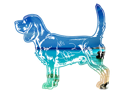 Hank aka Beagle Juice - 4 beagle dog hank key west photography tshirt