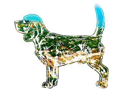 Hank aka Beagle Juice - 3 beagle dog hank key west photography tshirt