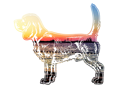 Hank aka Beagle Juice - 5 beagle dog hank key west photography tshirt