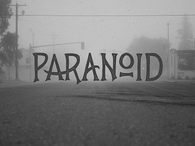 PaRaNoiD custom type hand lettering lettering photography texture type typography