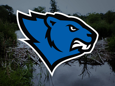 Beavers beaver logo sports logo