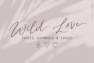 Script Font Wild Love logos calligraphy display font fonts handwriting handwritten love romantic sans serif script script font wild love logos signature wedding