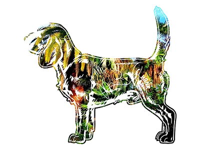 Hank aka Beagle Juice - 6 beagle dog hank key west photography tshirt