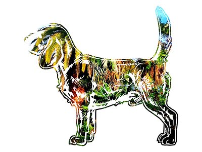 Hank aka Beagle Juice - 6 beagle dog hank key west photography tshirt