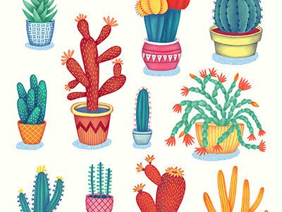 Cactus cactus drawing illustration pattern pencil plants