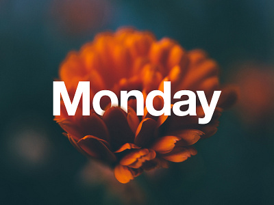 Monday cove helveticaneue monday