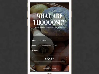 DailyUI Design 001: Sign Up dailyui dailyui001