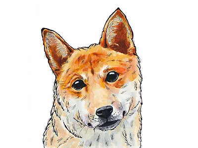 Shiba Inu dog drawing illustration marker shiba inu