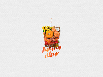 { In a cup } Autumn apple autumn cup leaf mushroom nut orange pumpkin red