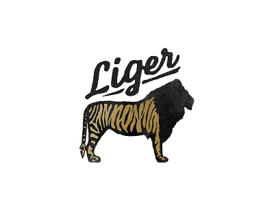 Two Color Liger gold icon illustration liger lion logo mark tiger
