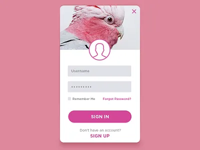 Daily UI #001: Sign up dailyui form login sign ui up