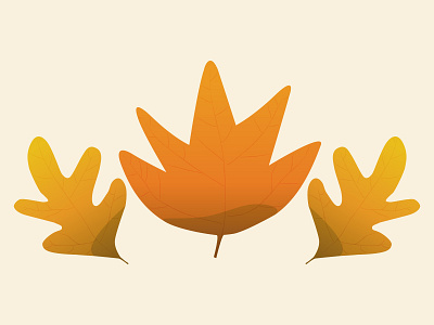 Autumn Leaves autumn fall leaves november october orange yellow