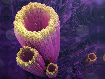 Playing with texture displacement / Organic forms 3d antonmoek c4d cinema4d digitalart displacement generative mograph render texturing