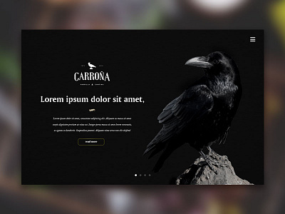 003 - Landing Page carroña dailiui landing user interface web