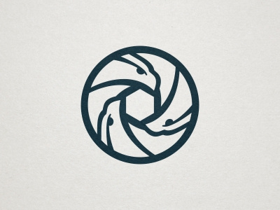 Bird Watching Logo bird black circle eagle hexagon photography