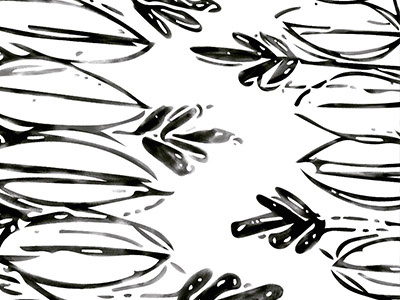 Kalea Pattern in the Hanalei Collection floral patterns surface patterns textiles