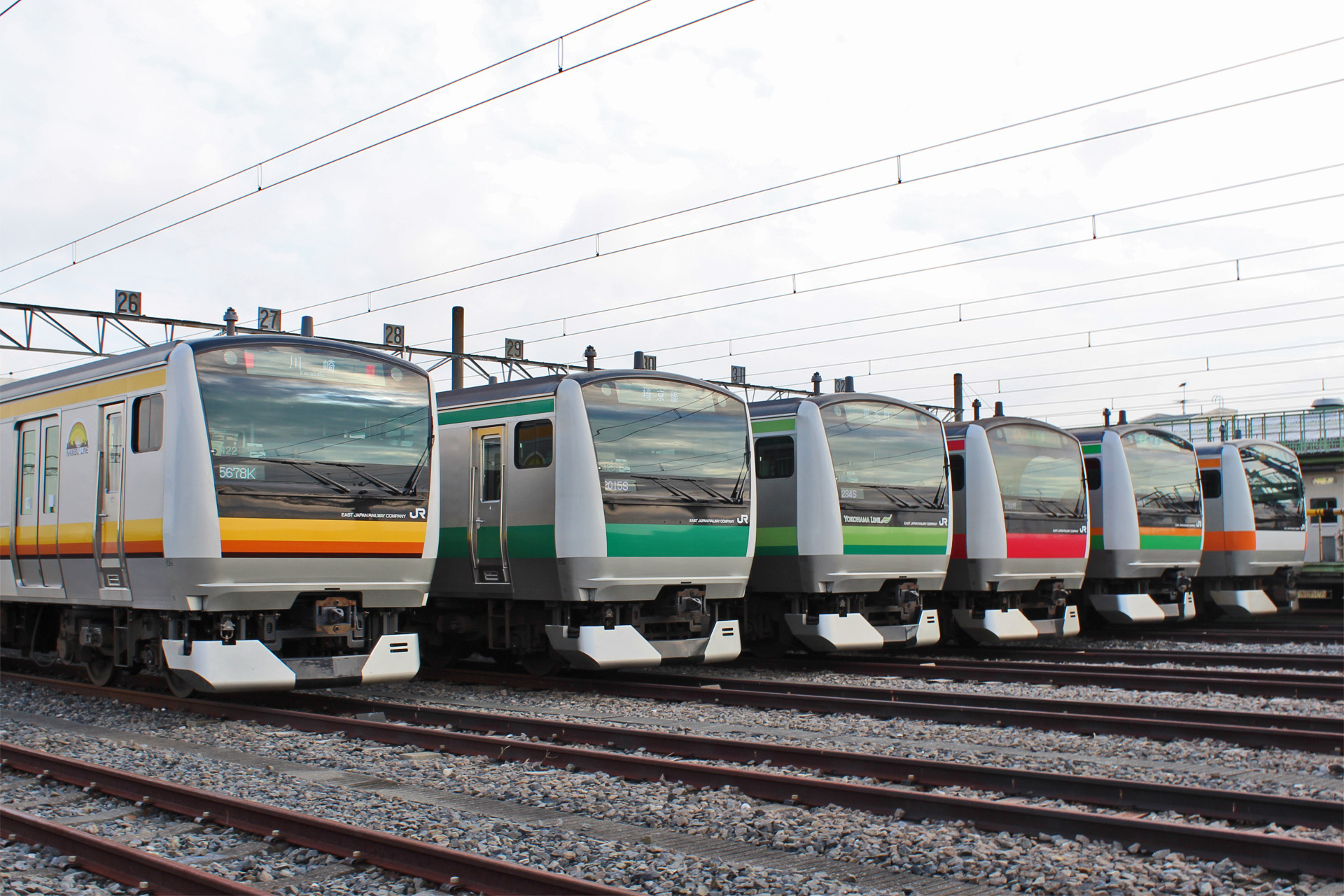 JR East E233 Train Commuter Series • Vectorized Design🚆 by