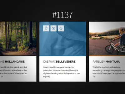 #1137 css html icons profile profile card