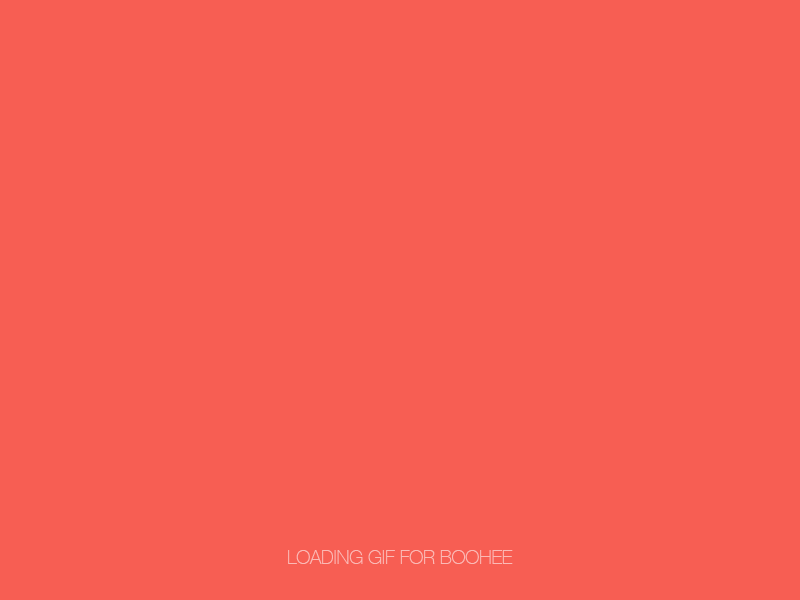 Loading gif