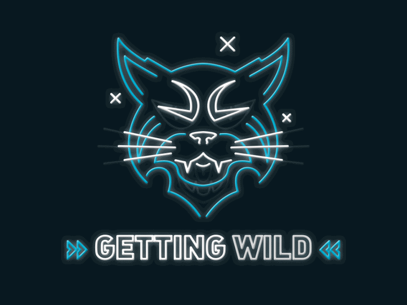 Rawwwrrrr animation cat compass cougar icon illustration leopard lion neon panther sign