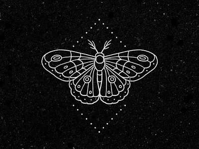 Moth hand drawn illustration line minimal monoline moth