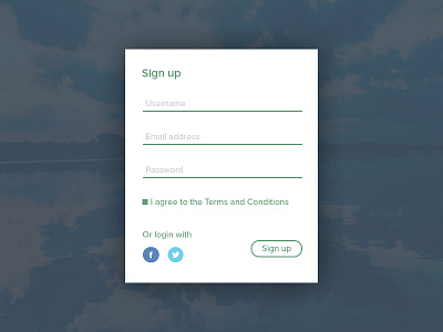 Signup Ui darko efremov form signup ui ui designer ux