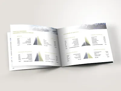 FCVB Annual Report - Infographic branding chart color design gradient graph grid infographic layout mockup print typography